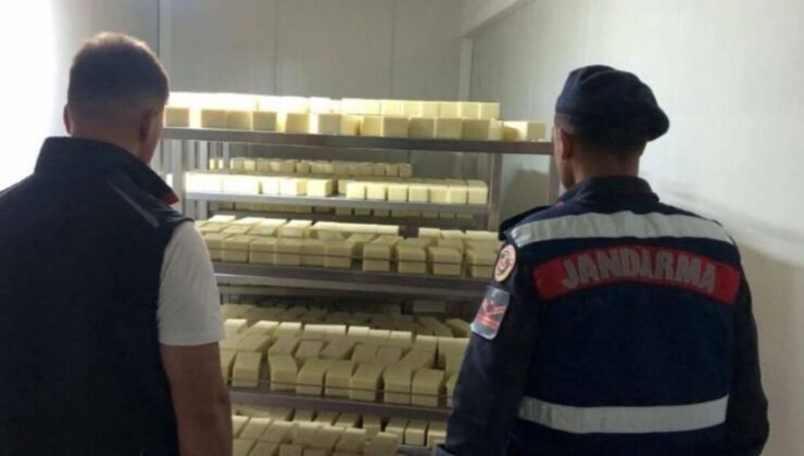 Sakarya’da 5 ton ‘sahte’ kaşar peyniri ele geçirildi