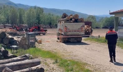Sakarya’da üzerine tomruk devrilen işçi öldü