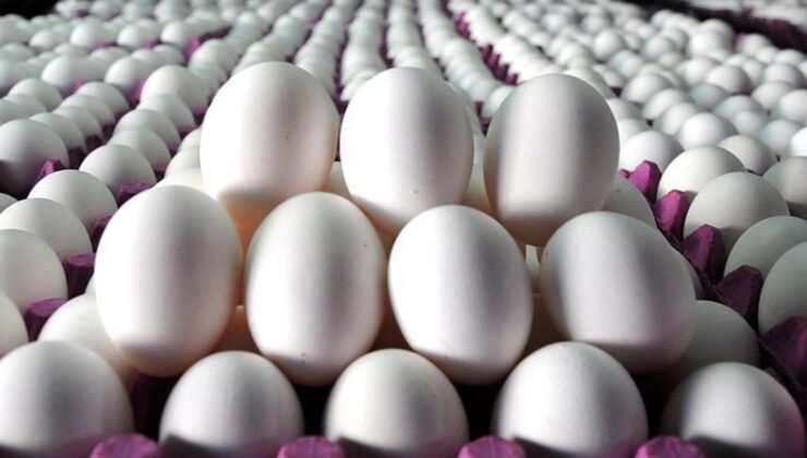 Sofralık yumurta ihracatında muafiyet Resmi Gazete’de