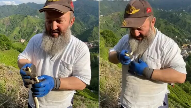 Temizlik yaparken yakaladığı zehirli yılanı boynuna doladı