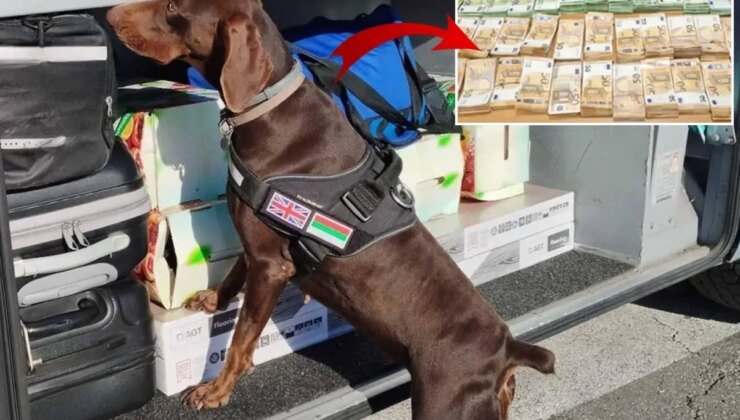 Tıra gizlenen 15 milyon lira dedektör köpekten kaçamadı
