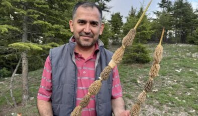 Toplaması tutku, kilosu 900 lira! Altın bulan bu kadar sevinmiyor