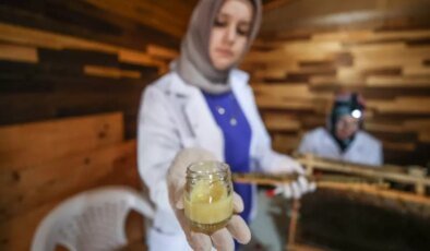 4 arkadaş eşleriyle ürettikleri arı sütünü kilosu 45 bin liradan satıyor