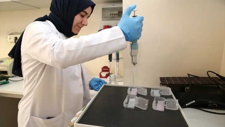 Alzheimer Hastalığının Erken Teşhisi İçin Önemli Gelişme