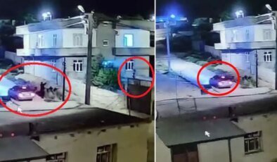 Arabayla gelip, bahçedeki kadına kurşun yağdırdılar