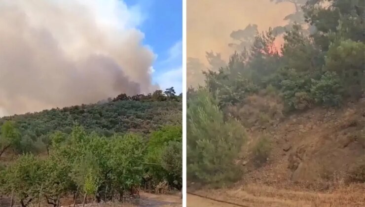 Balıkesir’de orman yangını! Bir mahalle boşaltıldı