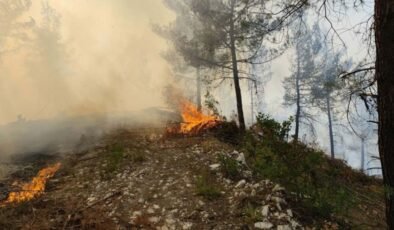Balıkesir’de orman yangını çıktı