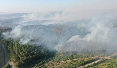 Balıkesir’deki orman yangınlarına ilişkin 5 gözaltı