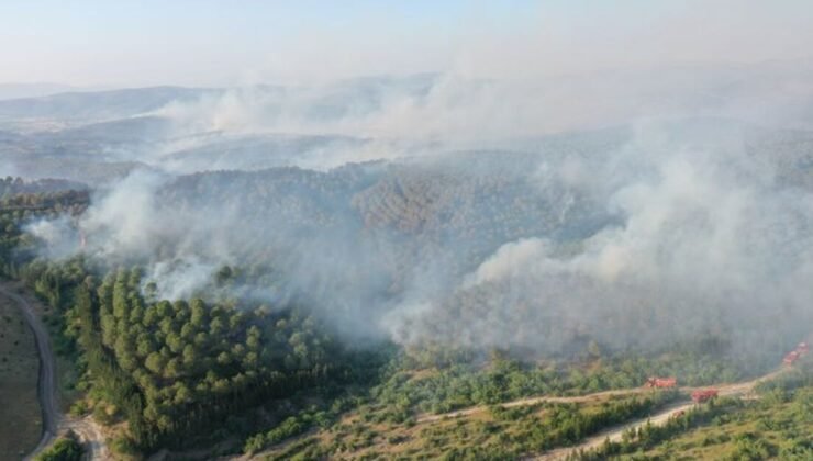 Balıkesir’deki orman yangınlarına ilişkin 5 gözaltı