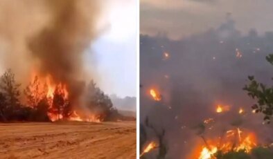 Bilecik’teki yangından yürek burkan görüntüler! Orman alevlere böyle teslim oldu