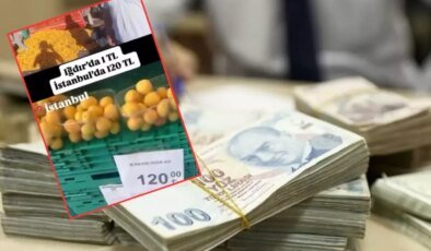 CHP’li ismin "kayısı" yalanı pahalıya patladı! Kesilen cezaya bakın