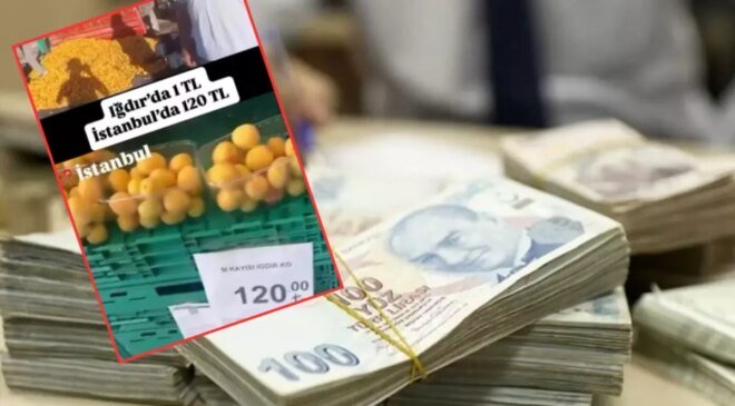 CHP’li ismin "kayısı" yalanı pahalıya patladı! Kesilen cezaya bakın