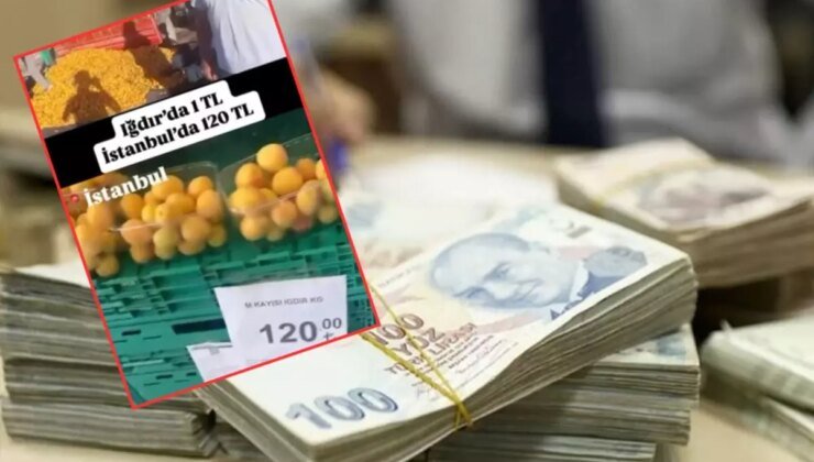 CHP’li ismin "kayısı" yalanı pahalıya patladı! Kesilen cezaya bakın