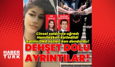 Cinsel saldırıya uğramış hamileyken katledilmişti! Sır perdesi aralandı!