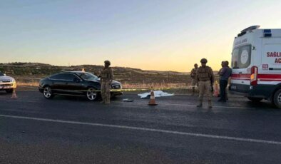 Diyarbakır’da Trafik Kazası: Yaşlı Çift Otomobilin Çarpması Sonucu Yaralandı, Biri Hayatını Kaybetti