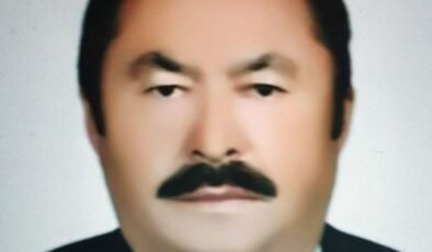 Eski muhtar arı sokması sonucu öldü!