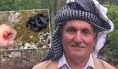 Hayvanları için ot biçiyordu görmedi… Isırdı ve öldürdü!