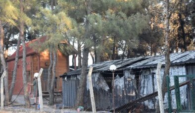 İzmir’de Orman Yangını: Evler ve Araçlar Zarar Gördü