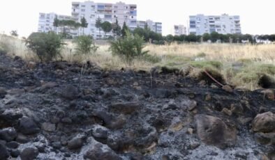 İzmir’de otluk ve ağaçlık alanda yangın
