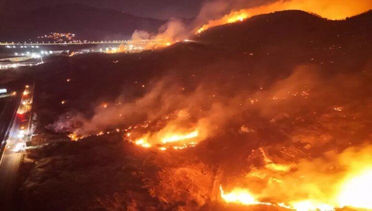 İzmir’de yine orman yangını: Bir kişi gözaltına alındı