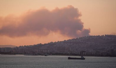 İzmir’deki orman yangını kontrol altında