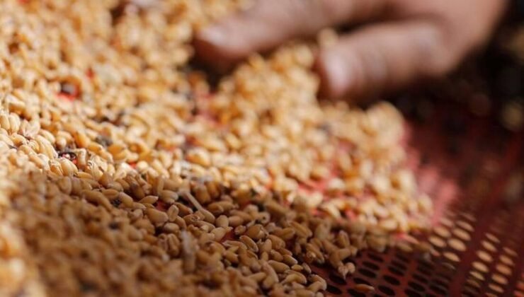 Küresel gıda fiyatları mayısta düştü