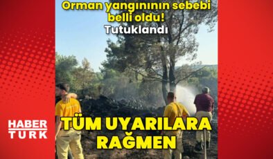Mangal yaparken ormanı yakmış! Tutuklandı