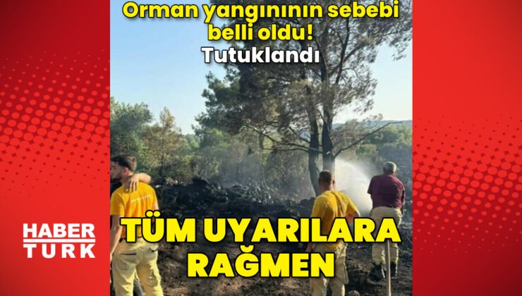 Mangal yaparken ormanı yakmış! Tutuklandı