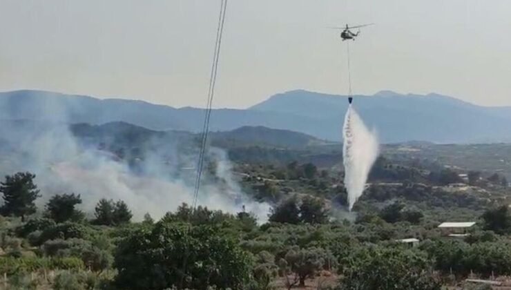 Manisa’da tarım arazisindeki yangın, ormanı da yaktı