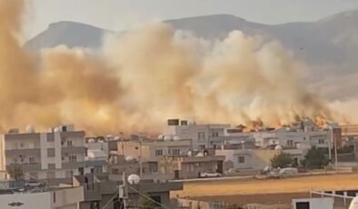 Mardin’de 350 dönüm buğday ekili alan yandı