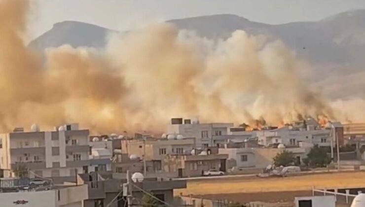 Mardin’de 350 dönüm buğday ekili alan yandı