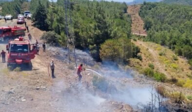 Marmaris’te orman yangını çıktı