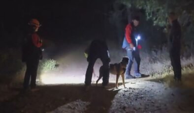 Pendik’te ormana girdikten sonra haber alınamayan şahıs için arama çalışması başlatıldı