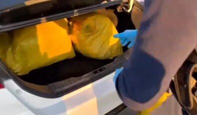 Şanlıurfa’da 35 Kilo Skunk Ele Geçirildi
