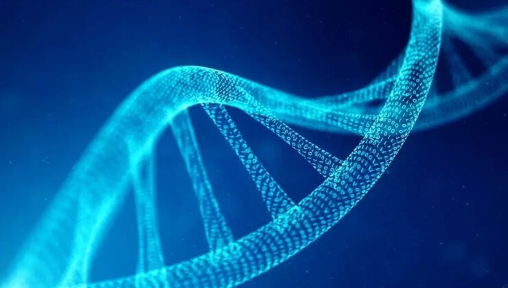 Yapay insan DNA’sı üretme projesi hakkında neler biliniyor?