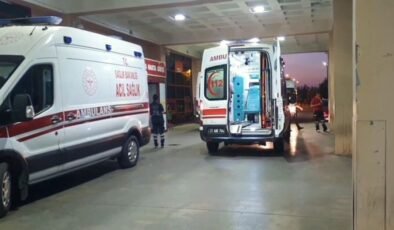16 yaşındaki ağabey, 14 yaşındaki kardeşini darbederek öldürdü
