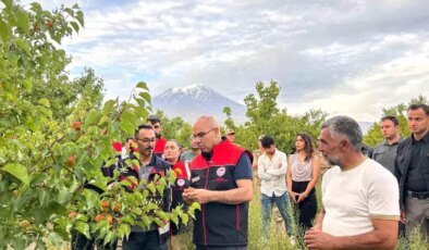 Ağrı Valisi Koç’tan Doğubayazıt’ta Turizm ve Eğitim İncelemeleri
