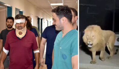 Aslan saldırısında yaralanan çiftçi Süleyman Kır: Aslana hakkımı helal ederim, bir suçu yok