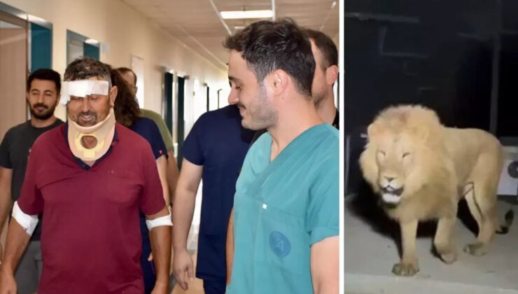 Aslan saldırısında yaralanan çiftçi Süleyman Kır: Aslana hakkımı helal ederim, bir suçu yok