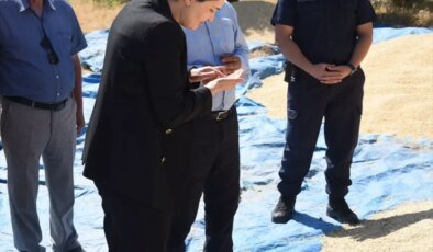 Bahşılı Kaymakamı Fidan Bozkır, Buğday Hasadına Katıldı