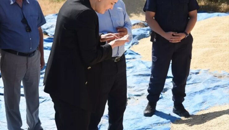 Bahşılı Kaymakamı Fidan Bozkır, Buğday Hasadına Katıldı