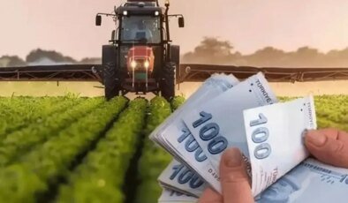Bakanlıktan tarımda nakit destek: Çiftçiye 826 milyon TL ödeme yapıldı