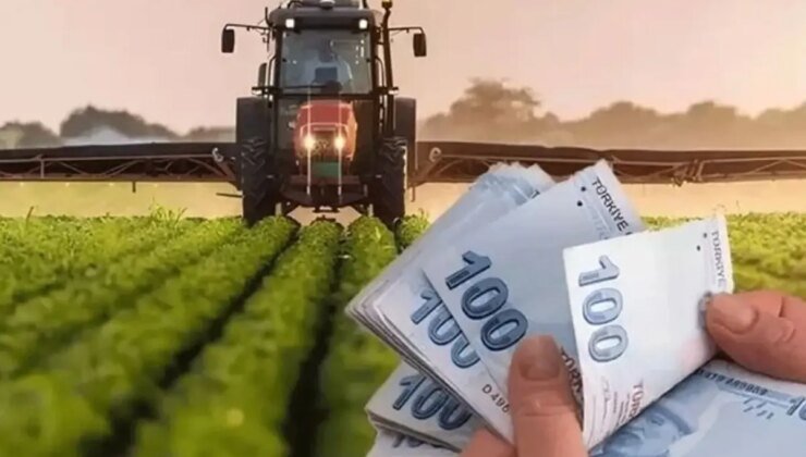 Bakanlıktan tarımda nakit destek: Çiftçiye 826 milyon TL ödeme yapıldı
