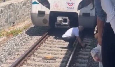 Bakırköy’de raylarda duran yavru kediyi fark eden makinist treni durdurdu
