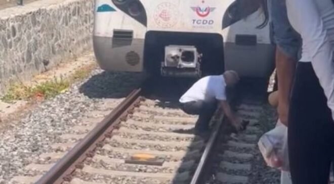 Bakırköy’de raylarda duran yavru kediyi fark eden makinist treni durdurdu