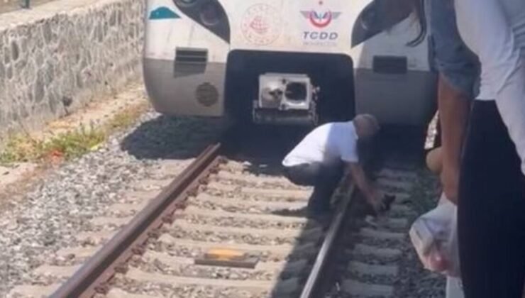 Bakırköy’de raylarda duran yavru kediyi fark eden makinist treni durdurdu