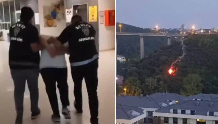 Beykoz’da işaret fişeği atarak orman yangınına sebep olan şahıs tutuklandı! İşte ilk ifadesi