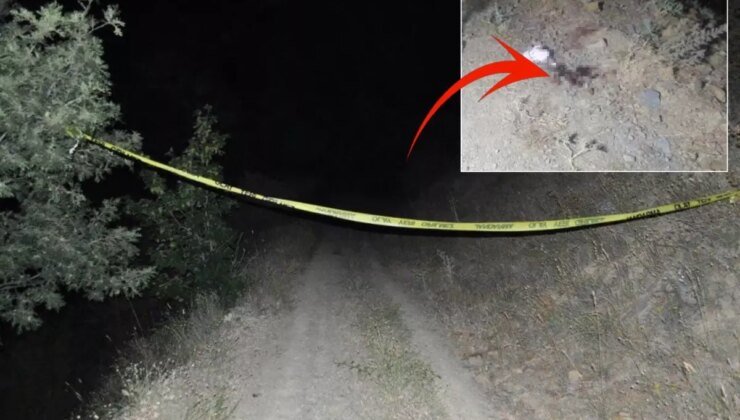 Bir garip intihar olayı! Çalıntı araçla kaçtı, jandarmaya yakalanınca canına kıydı
