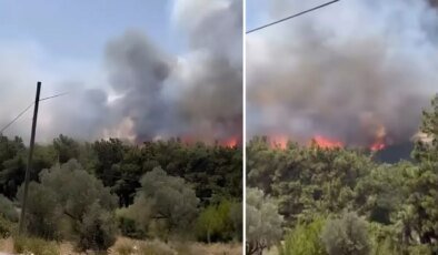 Bir orman yangını da İzmir’de! Bornova’da başlayıp Buca’ya sıçradı