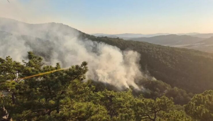 Bolu’dan korkutan orman yangını